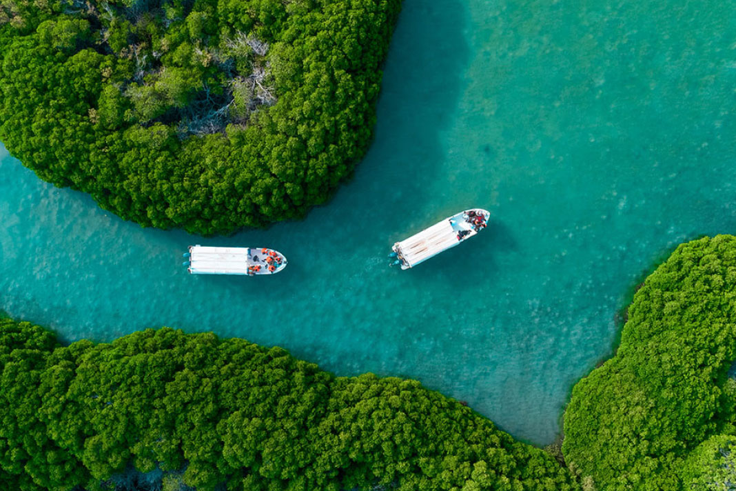 Farasan Islands diving and coral reefs Saudi Arabia
