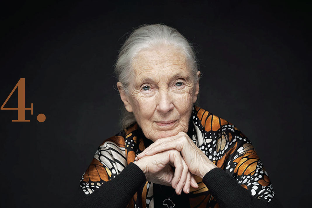 Jane Goodall 