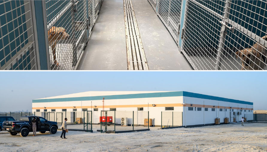 Aamal Almoayyed Sanctuary kennels and rescue facilities